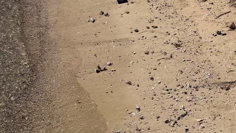 crystal clear water and sand in red sea beach near hurghada close to the coral reef