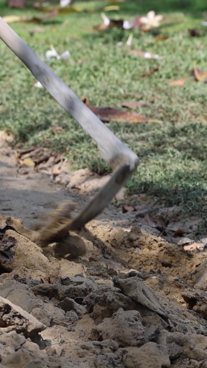 Una azada de metal golpea la tierra seca repetidamente, desmenuzando el suelo en una toma de jardín vertical