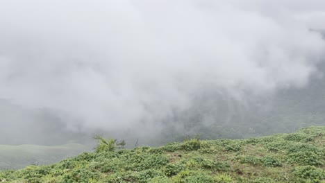 rolling green mountains of devarmane, malnad, karnataka during monsoon. rain clouds sweep swiftly overhead, capturing the serene and dramatic beauty of the western ghats