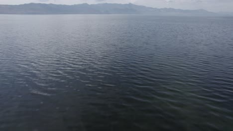 Video-Con-Un-Drone-Sobre-El-Lago-Skadar-En-Albania,-Plano-Frontal-Descriptivo-Ascendiendo-Desde-El-Agua-Para-Alcanzar-Altura,-Con-El-Horizonte-De-Las-Montañas-De-Montenegro