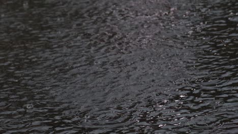 heavy rain, raindrops on the surface of the river with an irregular pattern