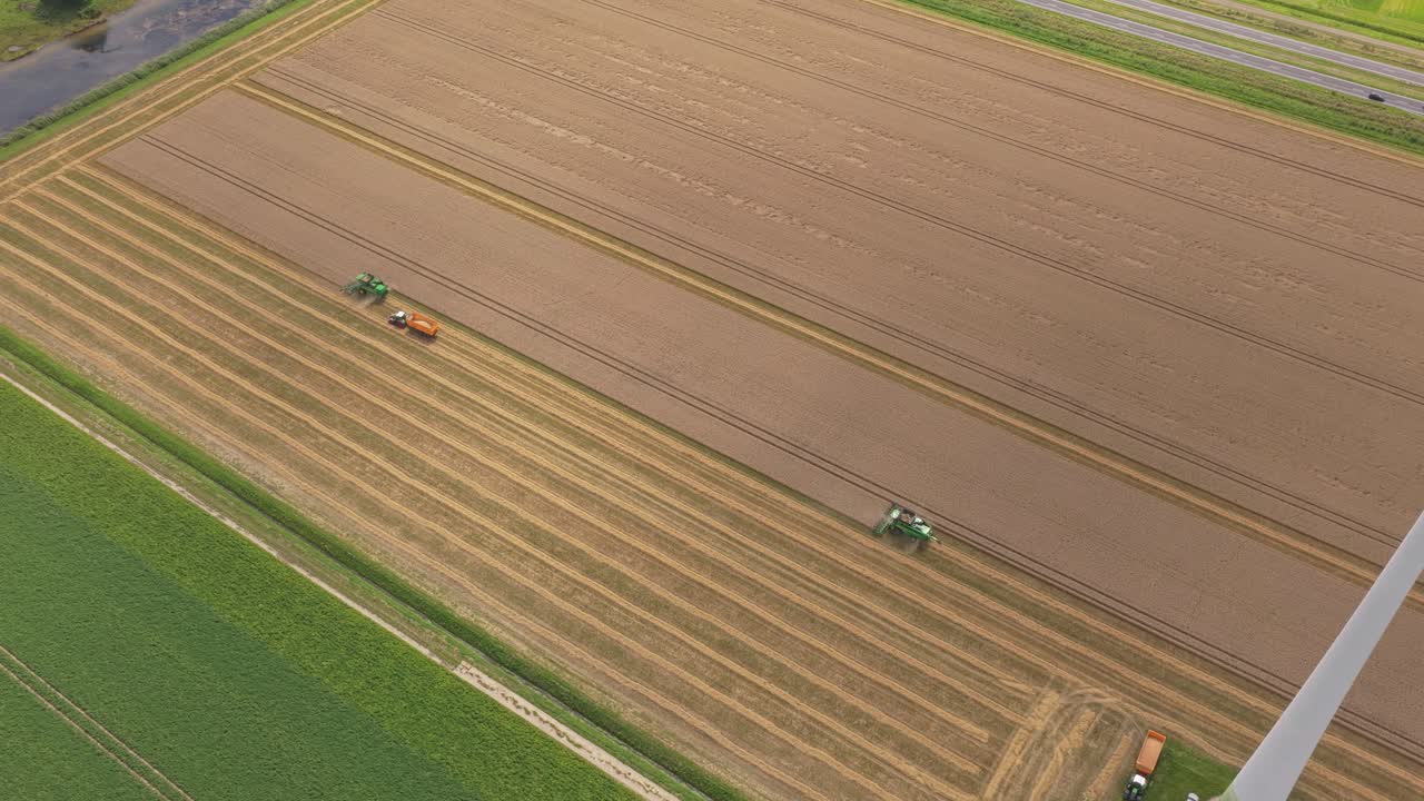 Mietitrebbia che raccoglie grano in vasti campi pianeggianti, turbina eolica nelle vicinanze, Paesi Bassi