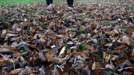 two girls walk through the autumn fall leaves