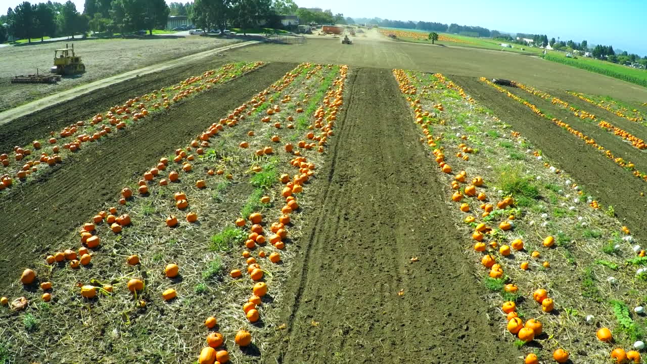멀리 떨어진 농장 트랙터가 있는 호박밭 위의 안테나