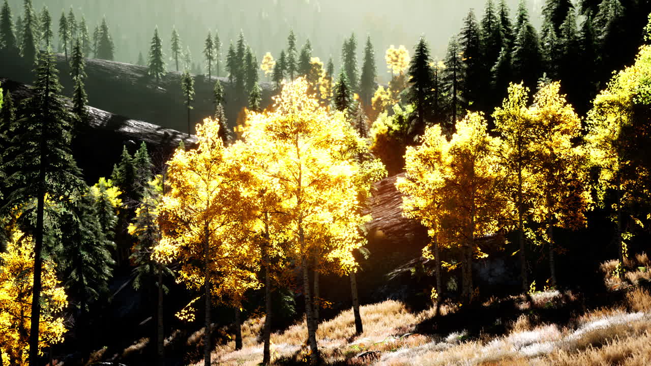 산에서 밝은 해가 지는 것