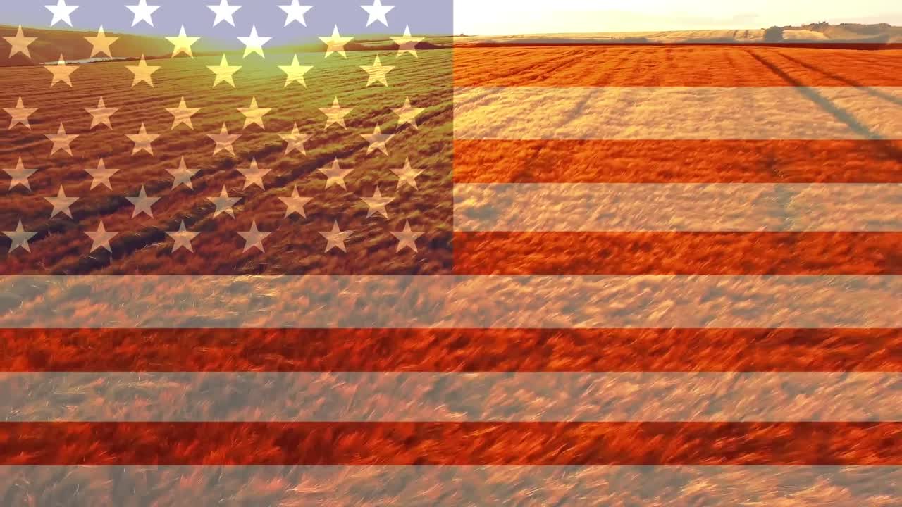 vídeo de la bandera estadounidense