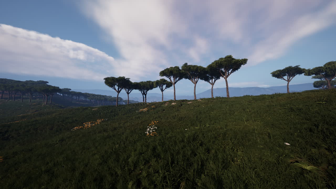 마고 국립 공원 의 공중 파노라마