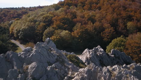 Viaje-Suave-Sobre-Una-Roca-Descubriendo-Un-Bosque-En-Otoño