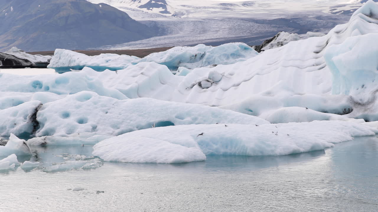 눈 덮인 빙하 위를 추적하는 멋진 패닝 샷