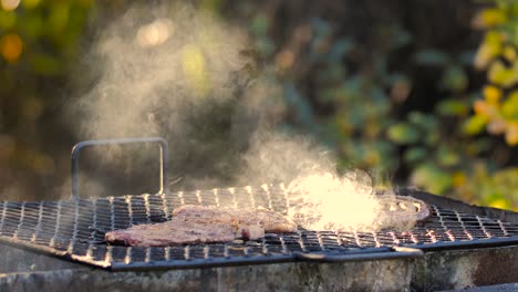 bbq grill braai smoke coming from the fire