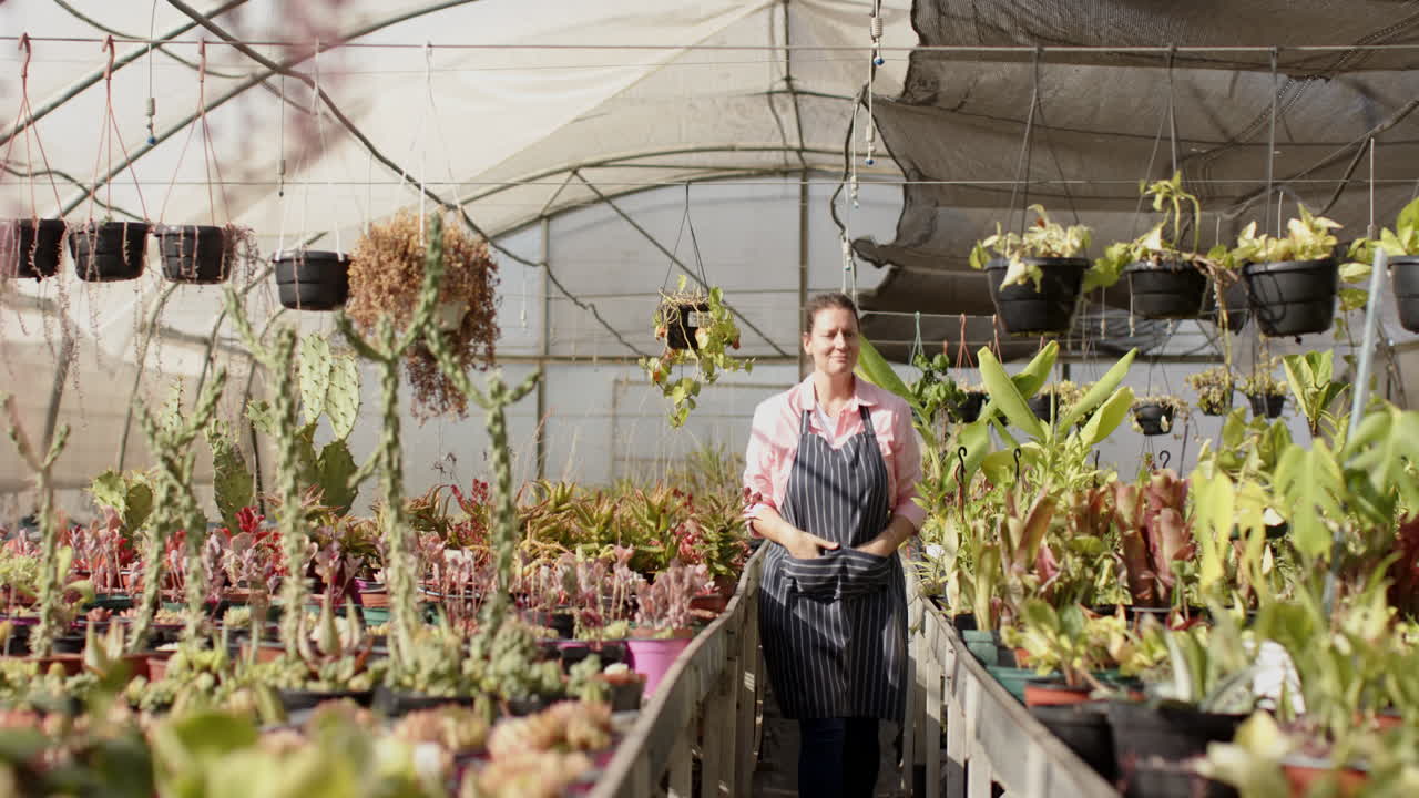 Gardener tending to plants in greenhouse, nurturing vibrant greenery with care