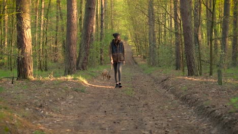 niña y su perro de mascota caminando en el hermoso bosque de primavera
