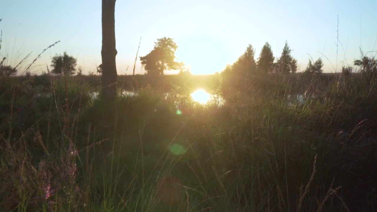 습지 위 의 해 가 지는 것