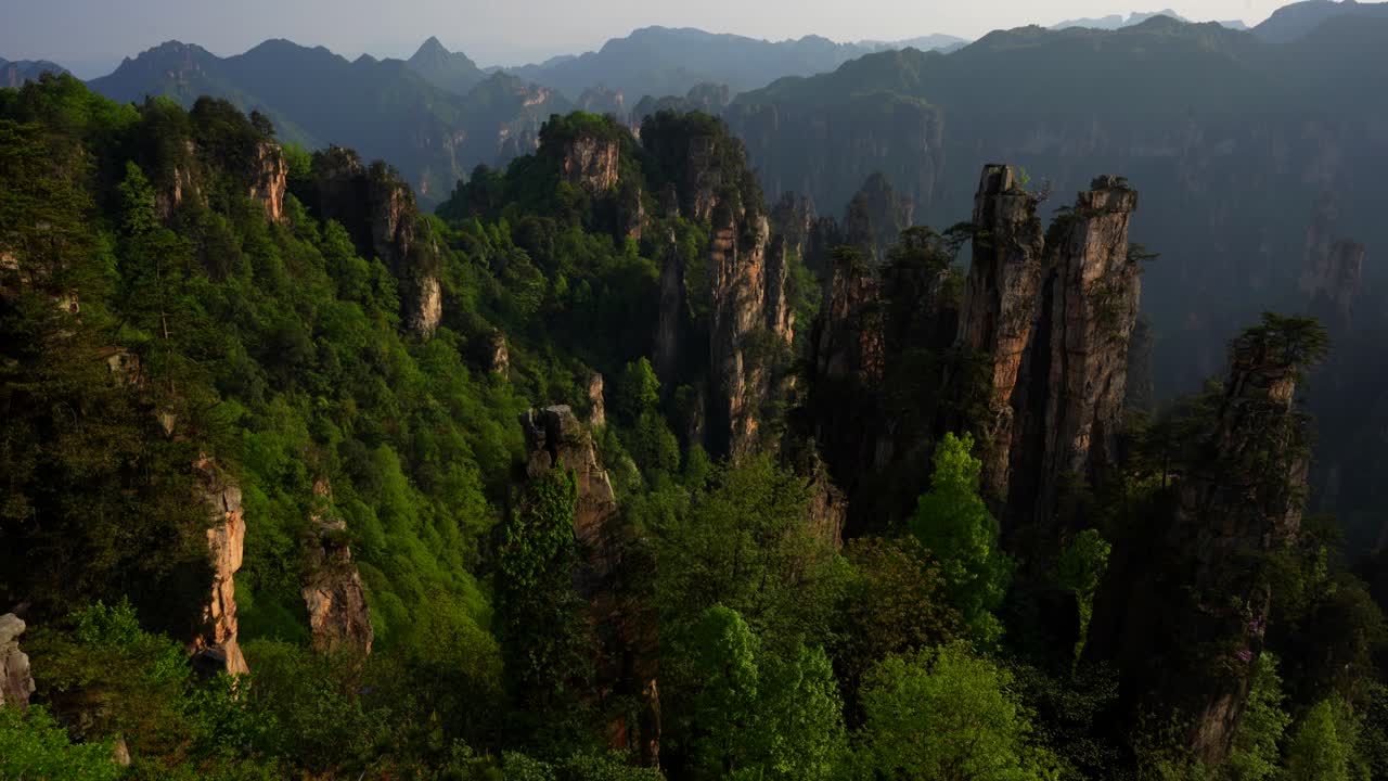 Tall rock pillars rise above lush green forests in Tianzi Mountains at sunset, China. Pan left, 4K