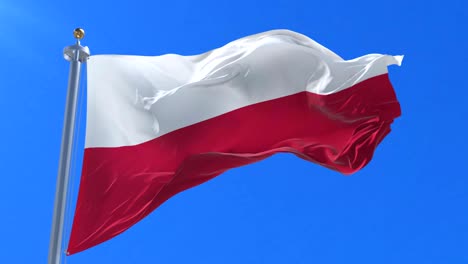 flag of poland waving at wind with blue sky in slow, loop