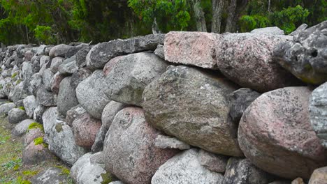 traditional saaremaa stone wall structure in estonian nature, trees and plants like junipers in the background with short green grass in the foreground in the summer time