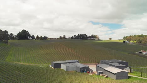 reveling drone shot of a field