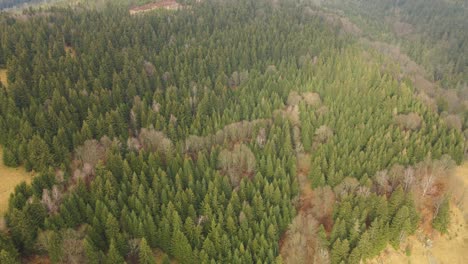 Polish-mountains,-beautiful-weather,-drone-shot