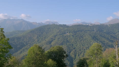 mountainous forest landscape