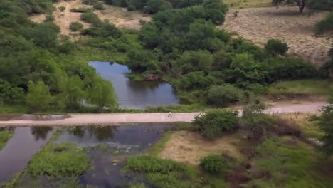 toma aérea de un hombre caminando por una carretera en el campo cerca de pequeños cuerpos de agua