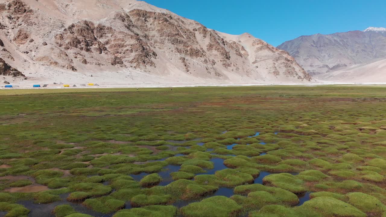 Landscape with mountains, grassland, and wetland