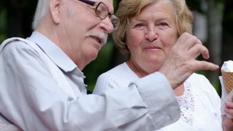 senior couple enjoying conversation and ice cream in a park