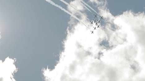 Schneevögel-Fliegen-In-Einer-Schleife