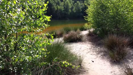 flight on the shore of a lake in bavaria