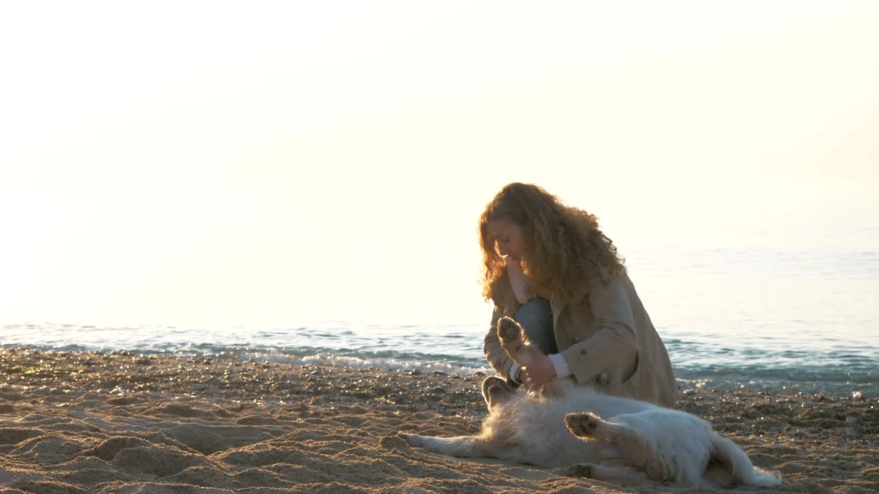 해가 지는 해변에서 레트리버 개와 함께 놀고 있는 어린 암