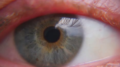 un ojo azul caucásico con motas naranjas con un reflejo de luz visible y sin maquillaje