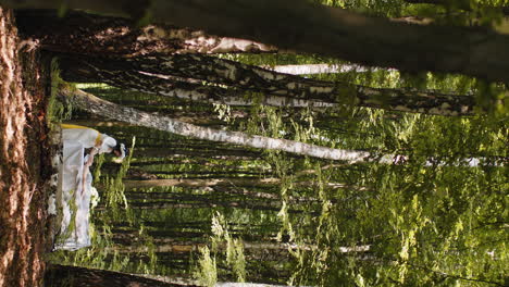 terapeuta mujer médico haciendo mujer relajante spa masaje facial con las manos al aire libre en el bosque