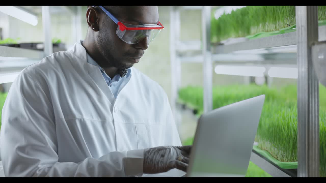 Scientist Working on Laptop in a Vertical Farm