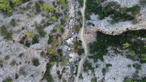 top down aerial view of car moving on narrow road by creek in deep canyon