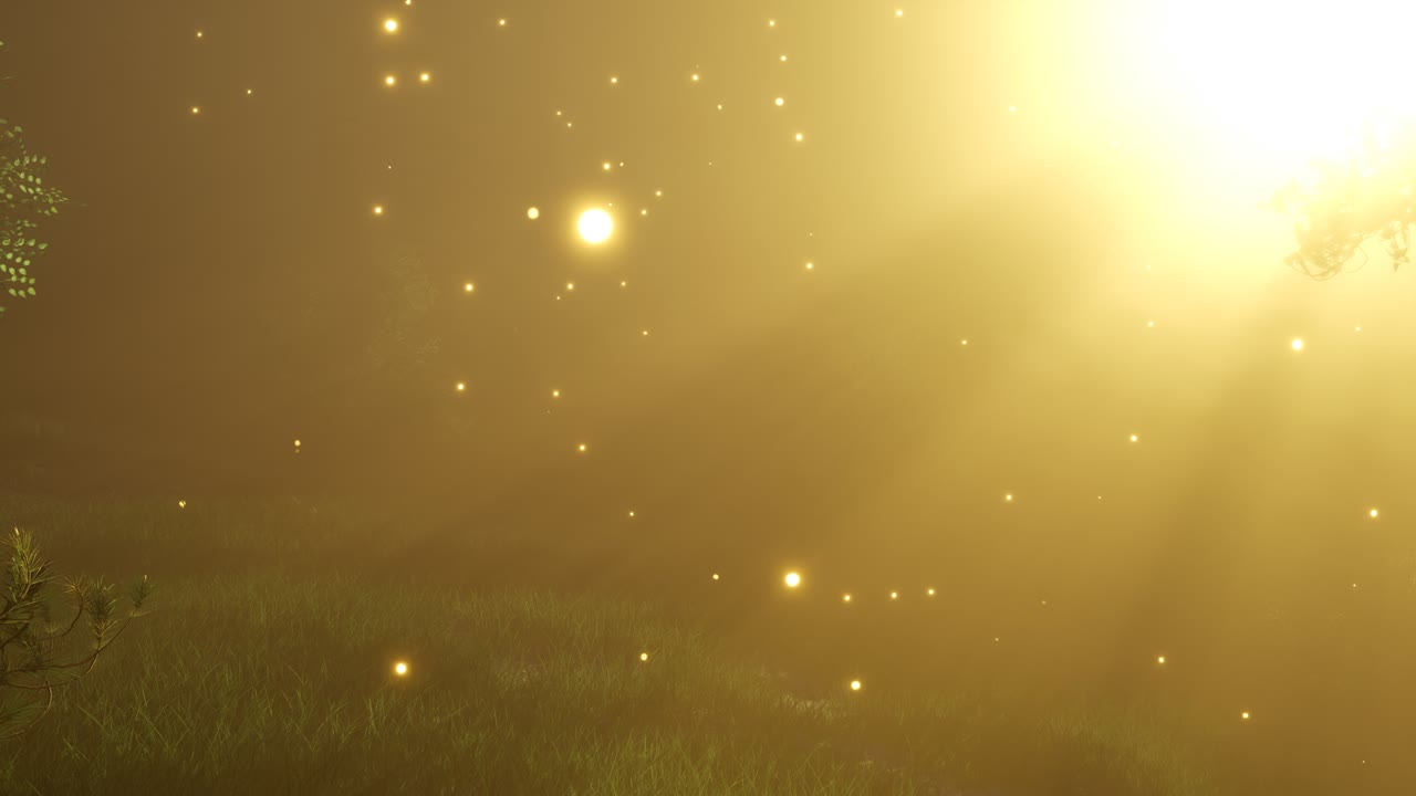 반 ⁇ 이는 마법의 숲