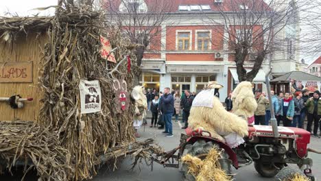 tractor pulls a chariot covered with reeds and hay accompanied by locals wearing animal fur coats and masks in the crowd at the busó-walking festival in mohacs, hungary.
