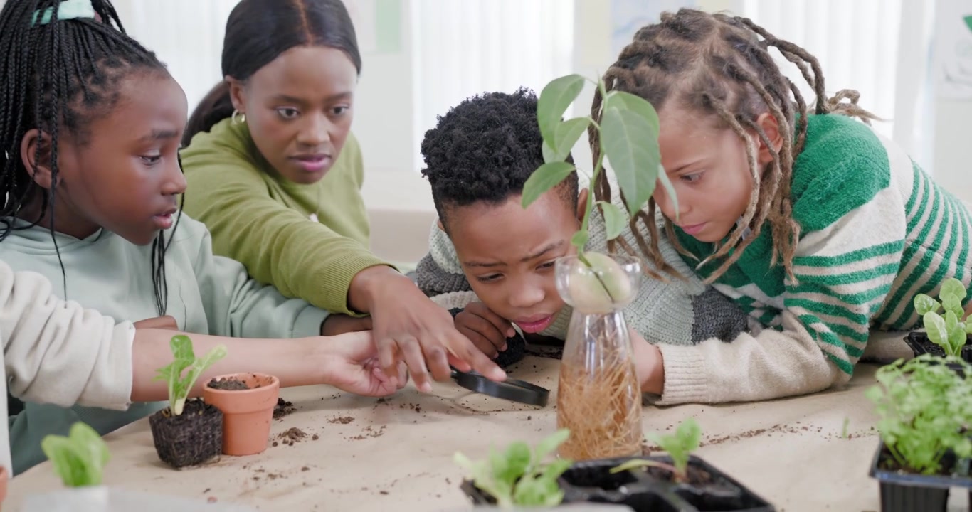 Seeing plant African American teacher guiding children using lens studying roots in desk terrarium