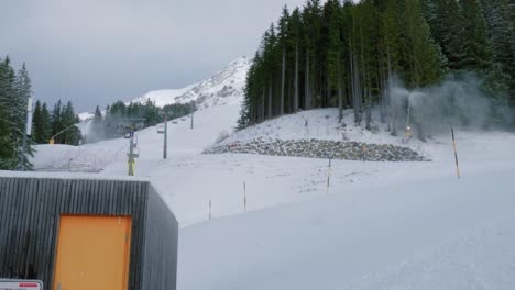 a ski trail is based between thick pine tree forests, where a ski lift brings skiers to the top of the hill