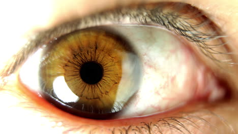primer plano del ojo