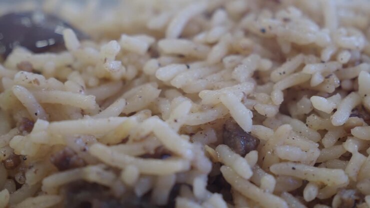 Closeup of Rice with Ground Meat