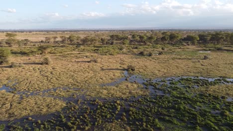 african savannah at sunset by drone