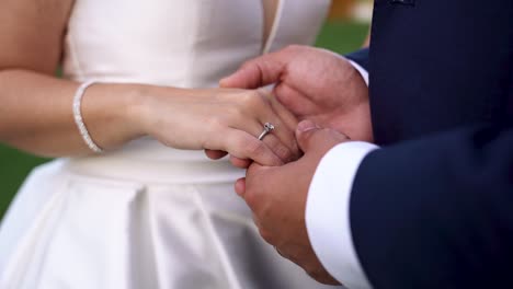 cerrar el novio sosteniendo la mano de la novia en la ceremonia de la boda, el concepto de amor