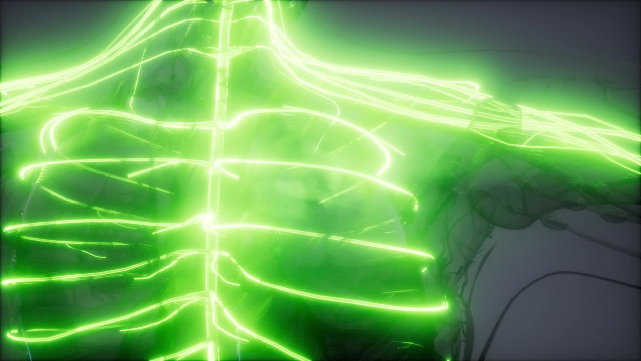 examen de radiología del cerebro humano