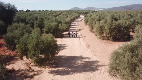 Drone video of a family stolling in a sandy path