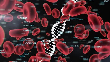 Coronavirus-Konzepttexte,-Blutgefäße-Und-DNA-Struktur,-Die-Sich-Vor-Schwarzem-Hintergrund-Bewegen