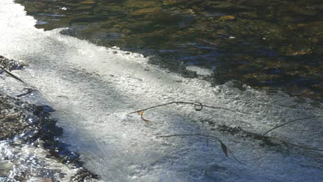 au bord d'une rivière peu profonde, de la glace s'est formée en raison de conditions météorologiques extrêmes