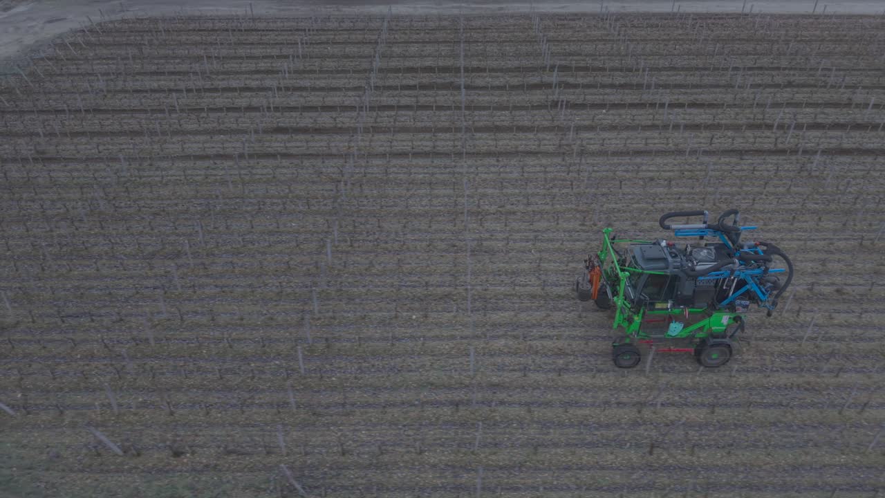 Dei macchinari agricoli si muovono attraverso un vigneto coperto di brina nelle prime ore del mattino. Gli operai preparano il terreno per la semina mentre gli alberi spogli fanno da sfondo.