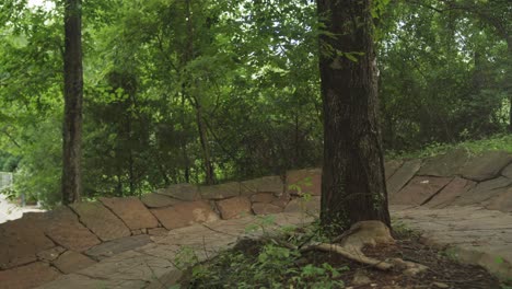 Dos-Ciclistas-En-Un-Sendero-En-El-Bosque