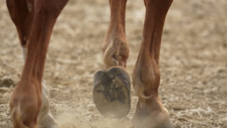 Close-up-of-a-horse's-hooves-walking-on-sandy-ground,-with-dust-rising