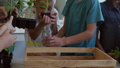 two boys planting plants in the class