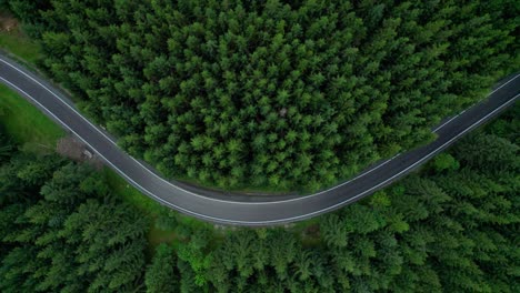 aerial view of the mountain road in a green forest (aerial, loopable)